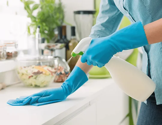 Personalized Home Disinfection